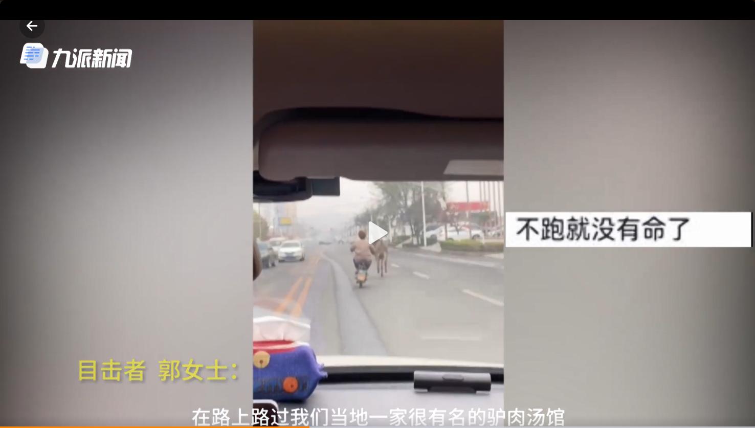 一分钟教你“网上打跑得快如何能赢!其实确实有挂的