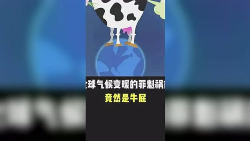 3分钟教你科普“欢乐牛牛怎么打能包赢”-太坑了原来有挂