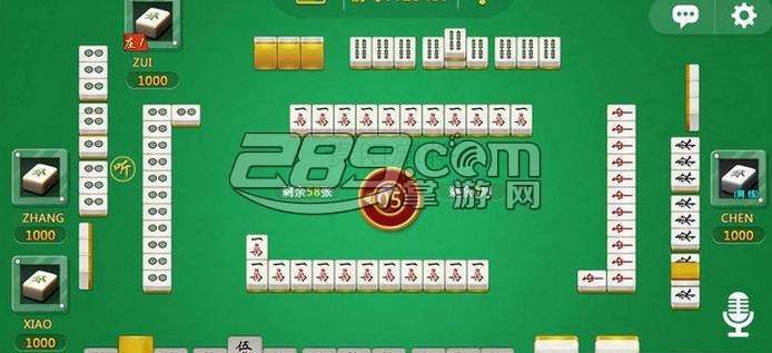 玩家必备教程正闲来贵州麻将可以开挂不”其实确实有挂 