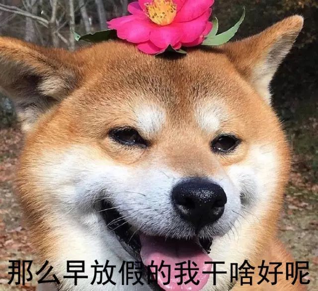 大神教教你！手机斗牛到底有没有挂(为啥一直输)