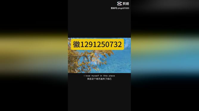 教程辅助“功夫川麻怎么开挂”-太坑了原来有挂
