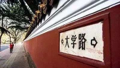 大神教教你！洞庭茶苑确实有挂的(如何来好牌)