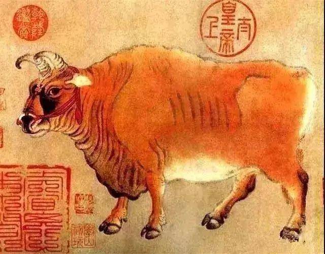 众乐斗牛有挂吗（众乐游牛牛）
