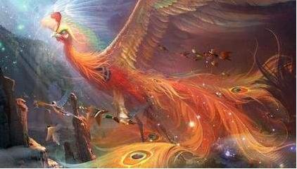 神兽凤凰娱乐挂怎么买（凤凰神兽名字）