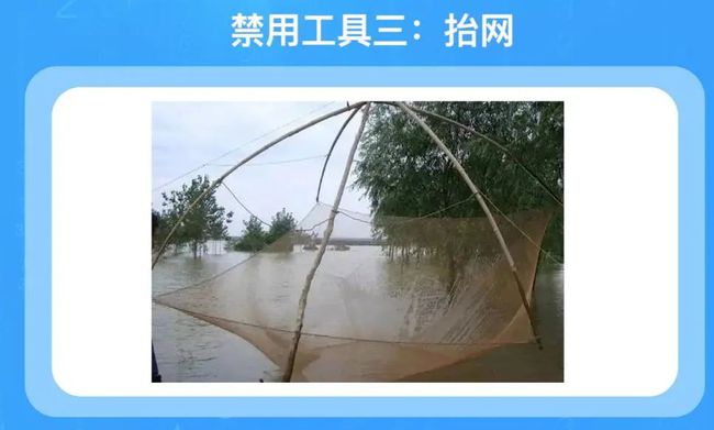 网络捕鱼开挂犯法吗（网络捕鱼作弊）
