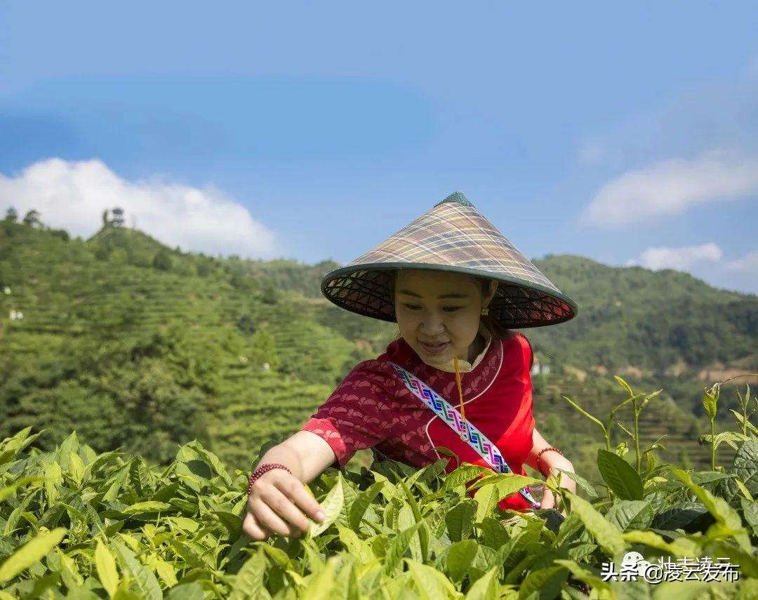 玩呗麻将有挂是真是假（玩呗麻将有挂吗）