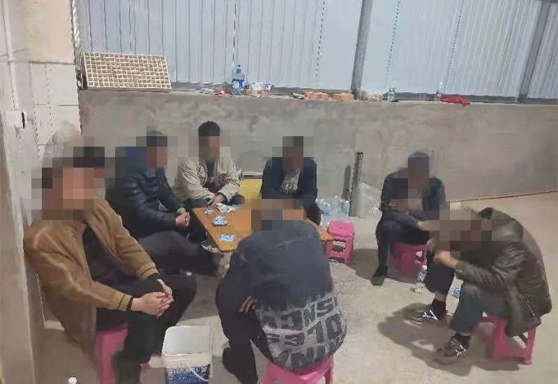 给大家爆料一下普通扑克牌斗牛设备“推荐6个购买渠道