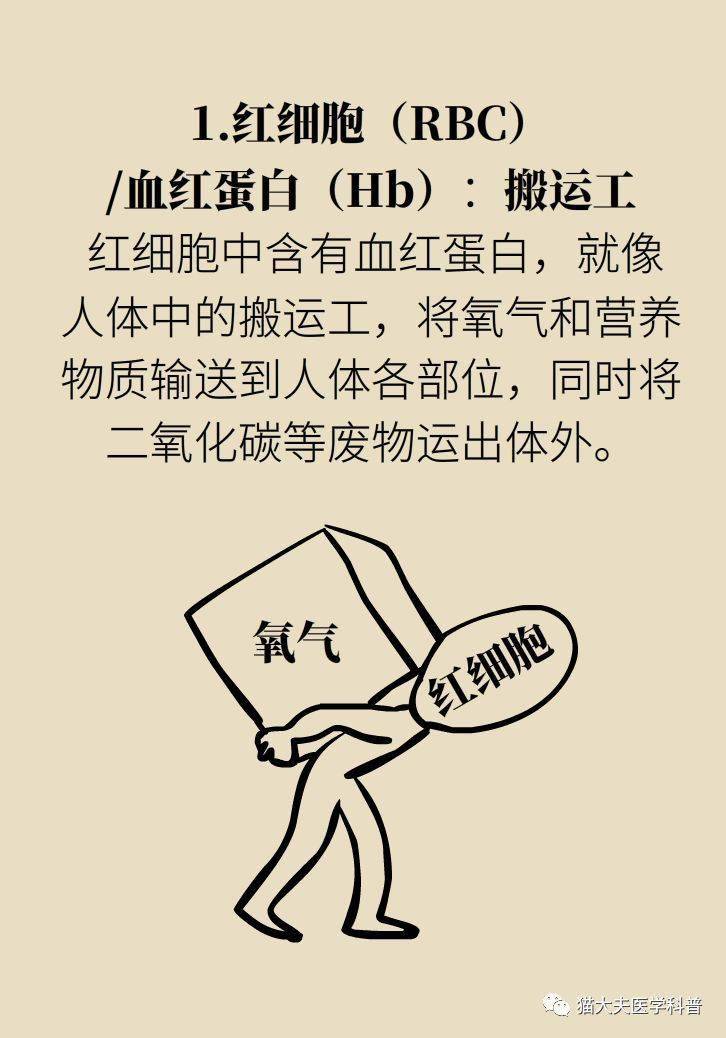 3分钟教你科普“中至上饶麻将有没有程序!其实确实有挂