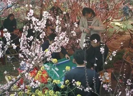 我来教教大家“四川熊猫麻将到底有挂吗!其实确实有挂