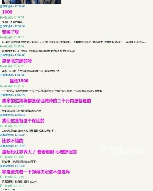 58同城怎么挂宠物上去卖（如何在58同城上出售宠物）
