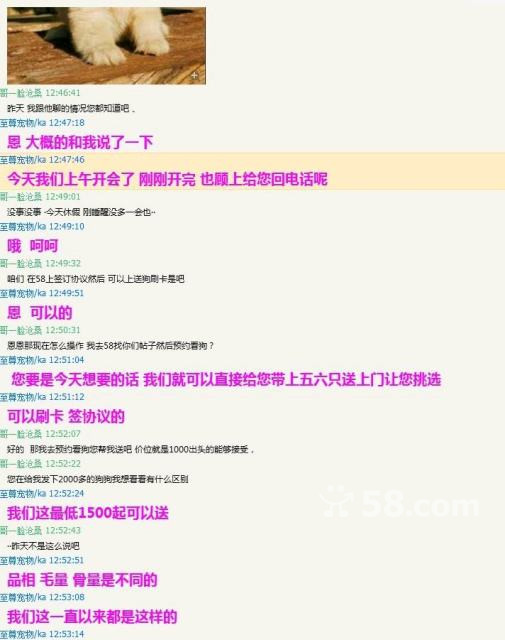 58同城怎么挂宠物上去卖（如何在58同城上出售宠物）