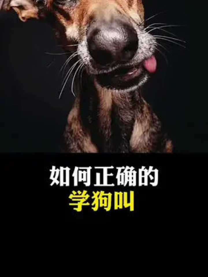 3分钟教你科普“哈狗游戏十三道开挂视频!其实确实有挂
