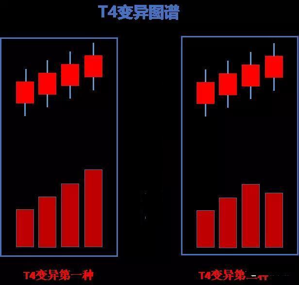 (2分钟介绍)“怎么看穿庄家里的色子“推荐1个购买渠道