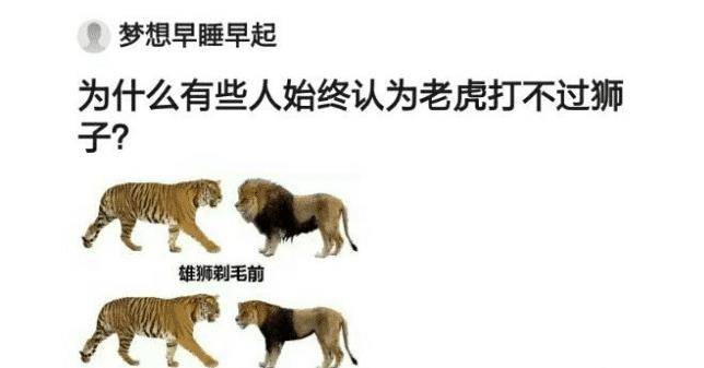 玩家必备教程怎么看穿老虎狮子“推荐1个购买渠道