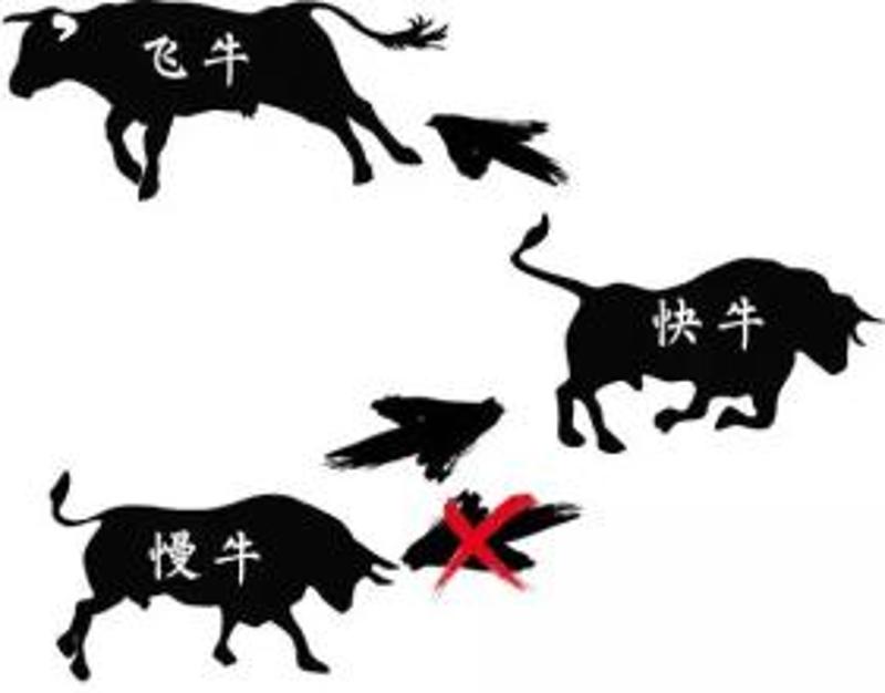 分享决窍“实用斗牛先进的科技产品有哪些_《爱问知识人 使用说明》