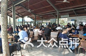 盐津茶馆怎么开挂（盐津饭店）