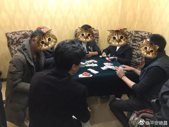 分享决窍“炸金花科技—详细解说+新浪科技