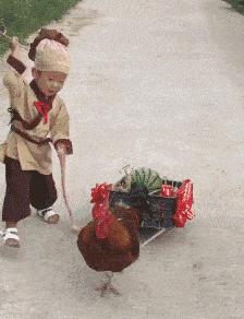 (2分钟介绍)“手机下载打牌神器有用吗(确实有挂)-知乎