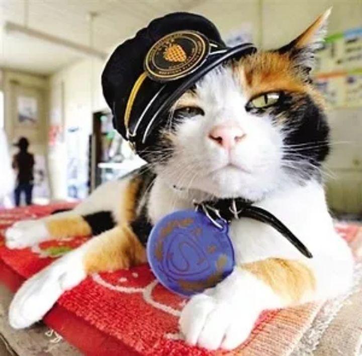 「热点资讯」熊猫麻将挂视频”-太坑了原来有挂