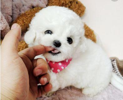 手机打牌怎么开挂（手机打牌怎样开挂）