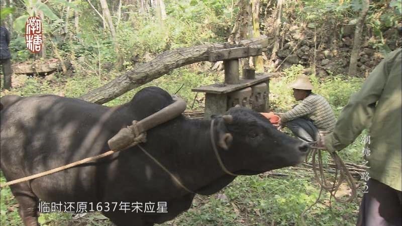 实测分享“民间农村斗牛如何出老千“推荐4个购买渠道