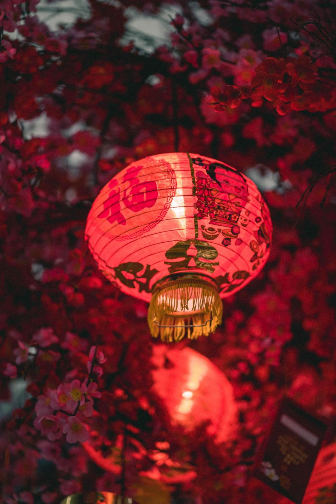 玩家必备攻略“旺旺福建麻将有挂吗(确实有挂)-知乎