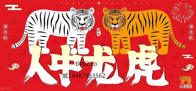 龙虎压庄规律（压庄龙虎规则）